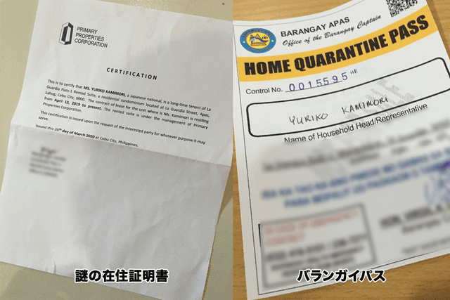 外出制限・外出パスが必要になる