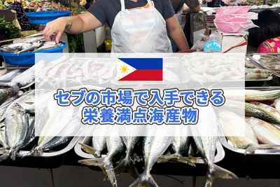 フィリピン・セブの市場で入手できる栄養満点海産物