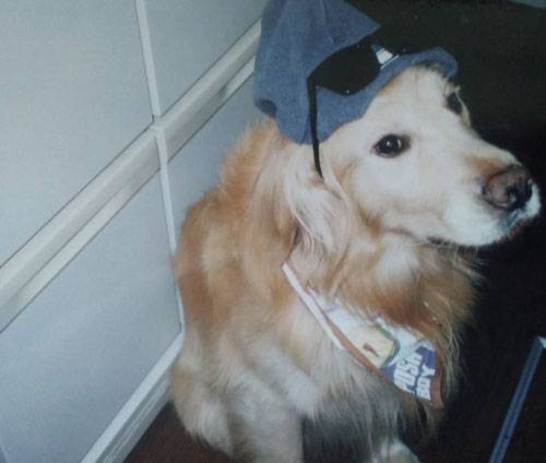 わずか5歳で天国に旅立ったボブ