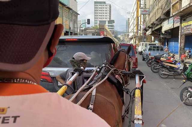 カーボンマーケット馬で物資を運搬していた名残もあってか観光用の馬車