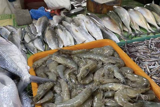 本命カーボンマーケットで鮮魚を発見