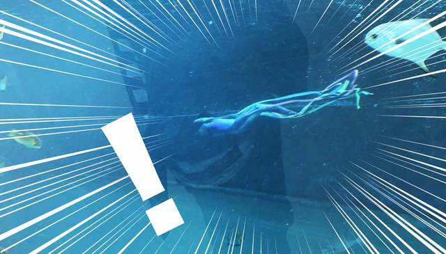 未確認生物(UMA)??大はしゃぎで写真を撮っている時に事件は起こった