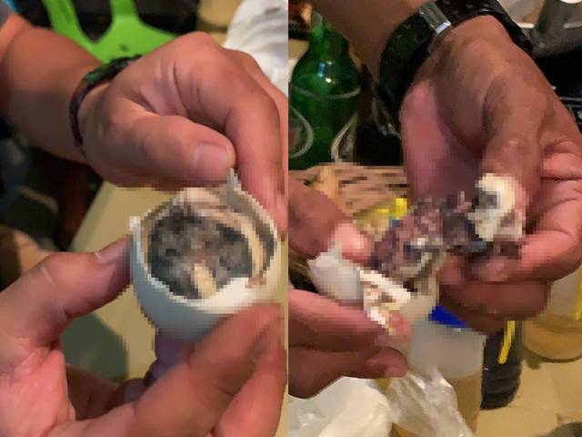 Balut(バロット)16日