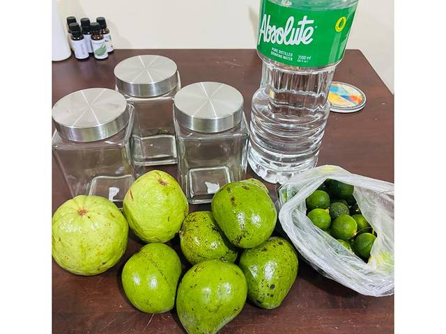 プロトタイプスタート！ 3つのトロピカルフルーツでお酢作り挑戦