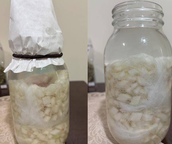 仕込みグアップル