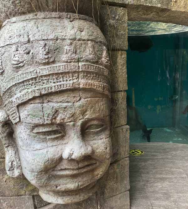 アマゾンの古代遺跡を感じるお魚の水槽