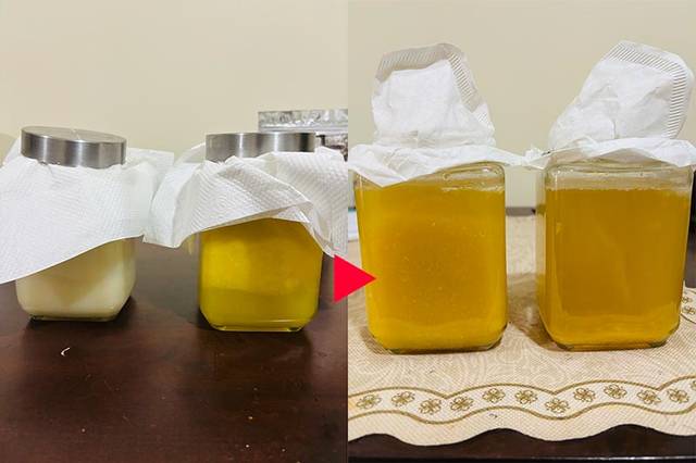 粗いキッチンペーパーから、目の細かいコーヒーフィルターへ。口はヘアゴムできっちり密閉