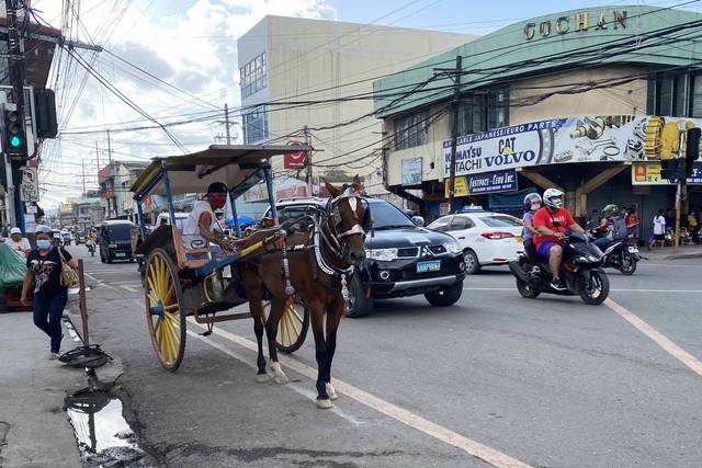 カーボンマーケット馬で物資を運搬していた名残もあってか観光用の馬車