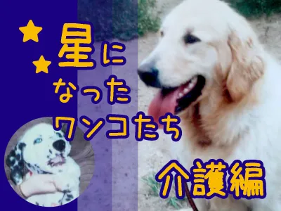 星になったワンコたち − 排泄介助、床ずれ防止。中〜大型犬を介護し、看取るためにやったこと − のサムネイル