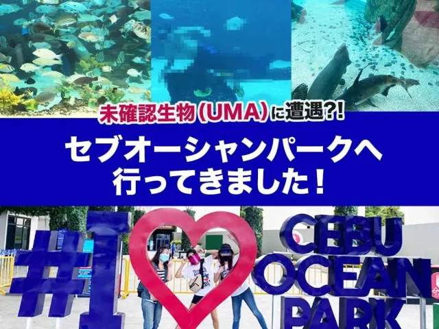フィリピン最大級水族館 セブオーシャンパーク【人魚に会える】