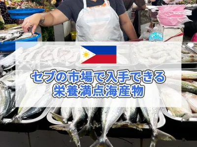 フィリピン・セブの市場で入手できる栄養満点海産物 のサムネイル
